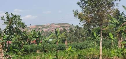 A picture of Plots along mityana road