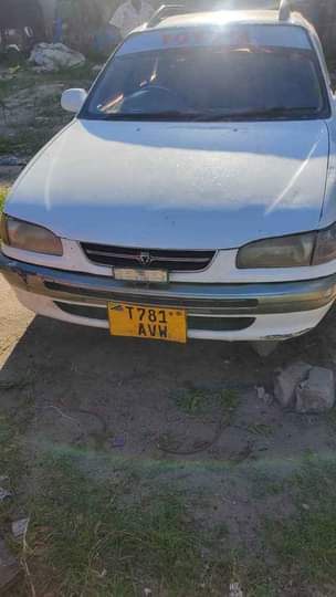 A picture of 2 3m 0653323677