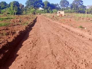 A picture of  MATUGGA KIWEBWA CITY SITE All installments allowed 40x20ft...... ............