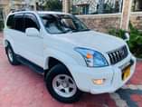 A picture of PRADO TX 120