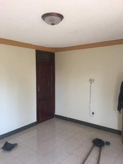 A picture of Katungi properties