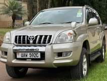 A picture of Prado TX 0751044800