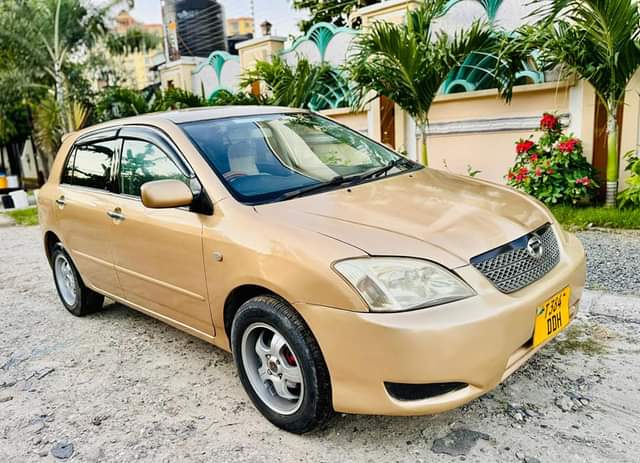 A picture of Toyota allex