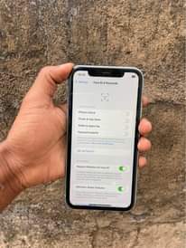 A picture of iPhone 11 plain