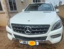 Daudi B.
