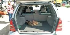 A picture of Subaru foresta