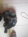 A picture of Front hub for corolla 2005
