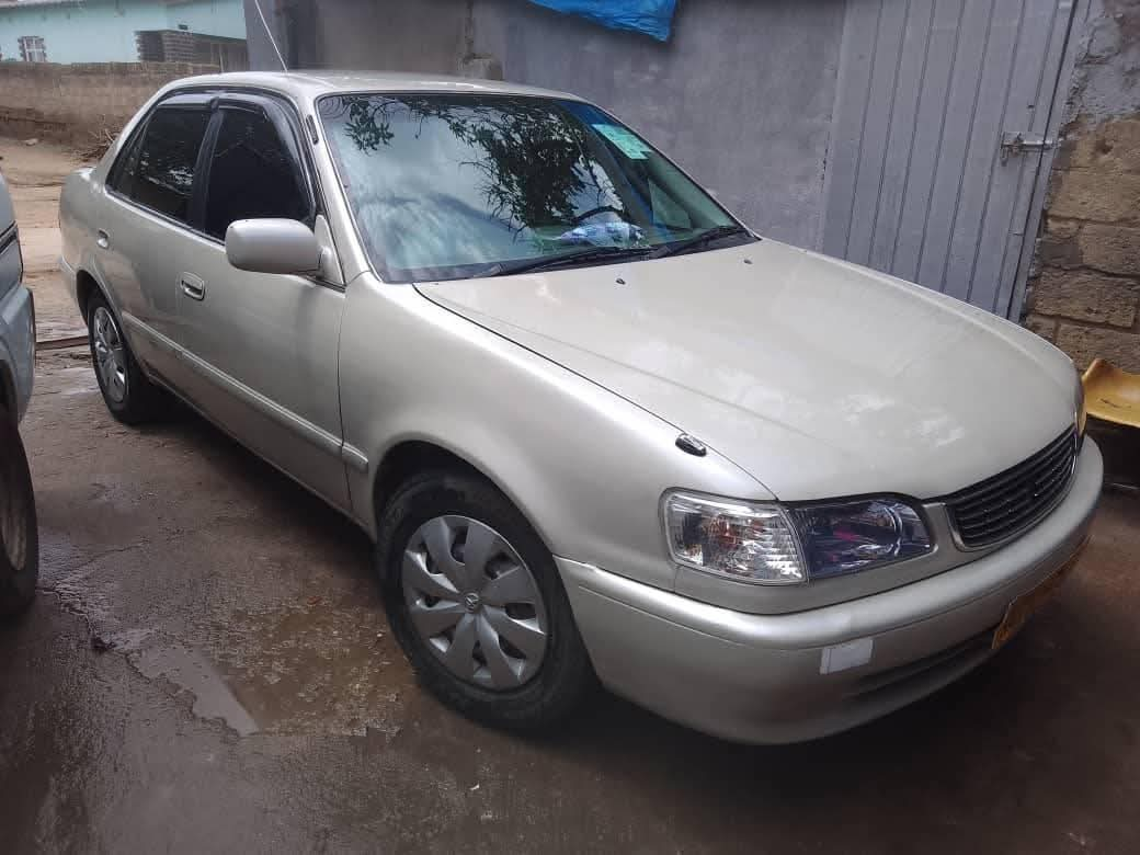 used toyota corolla