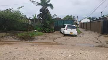 A picture of Nyumba sinza Lion