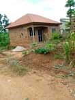 A picture of Gayaza Namavundu quick sale house