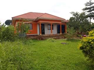 A picture of Hot cake in buyala town mityana road house for sale