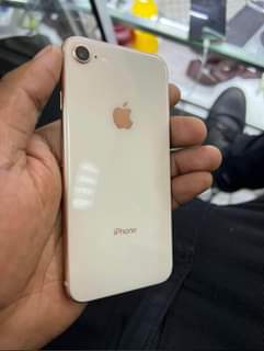 iphone 8plus