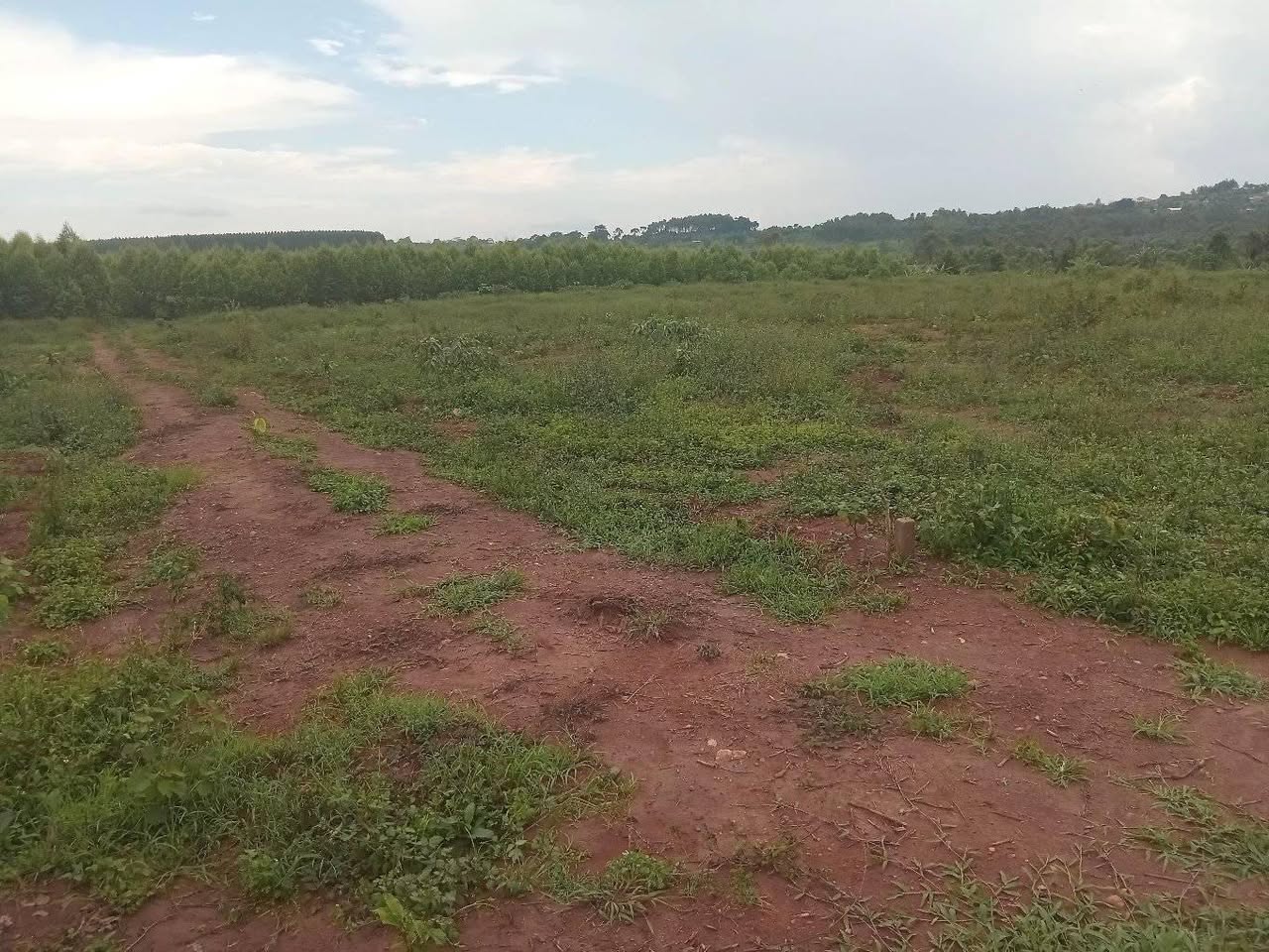 A picture of BLACK NOVEMBER SALE IS HERE. 13 plots of land 50by100ft