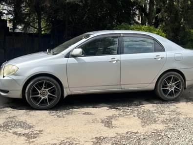 used toyota corolla