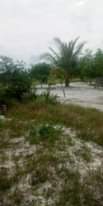 A picture of Viwanja