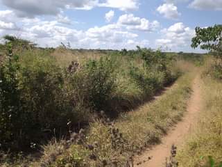 A picture of SHAMBA HEKA 6 NAUZA KILA HEKA TSH 280 000 HATA
