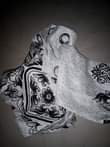 A picture of Pazia