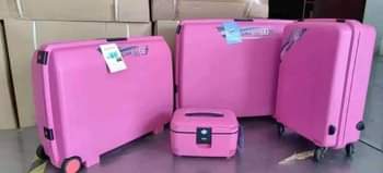A picture of Traveler suit case
