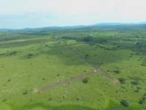 A picture of Nyakisharara 50 100 ft plots available WhatsApp 0781260064
