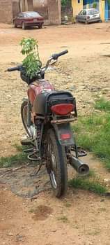A picture of Bajaj chincheng