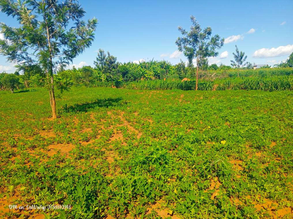 land