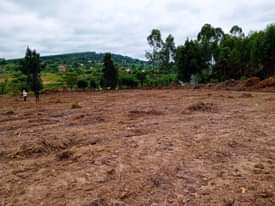 A picture of 50by100 with ready land title At 30m. Nkowe wakiso.