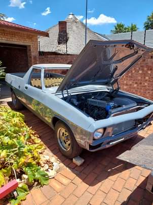 Classic,Muscle A.
