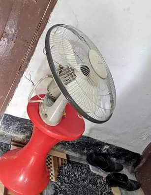 fans