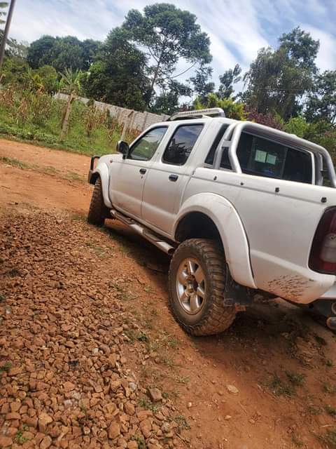 used nissan hardbody