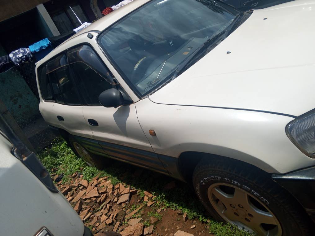 A picture of Rav4
