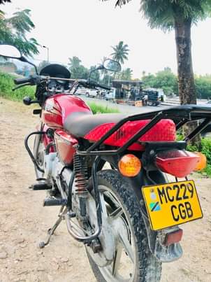 A picture of Boxer and Tvs