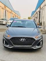 A picture of Sonata Limited 2018