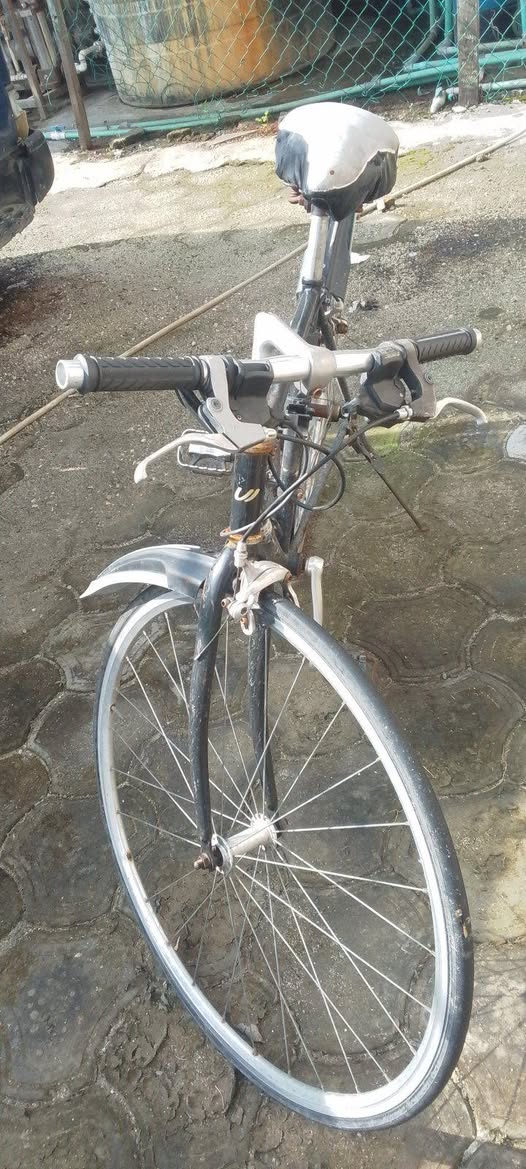 A picture of Bicycle