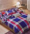 A picture of COTTON DUVET COVERS