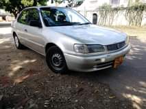 used toyota corolla