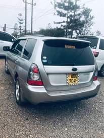 A picture of Subaru Forester