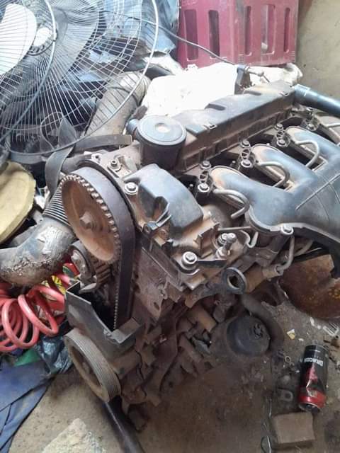 VW's F.