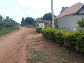 A picture of Land