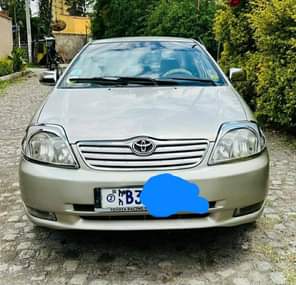 used toyota corolla