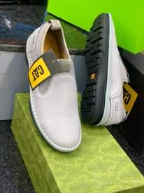 A picture of Brand cat shoes pure LEATHER