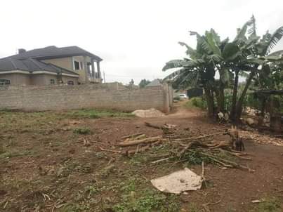 A picture of  40m Plot size 100by50ft with ready land title On
