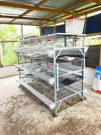 A picture of Vifaa vya ufugaji kuku wa nyama na mayai
