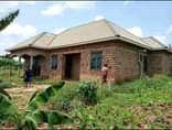A picture of We need money urgently today tomorrow 47m Ugx MATUGA KIWEBWA