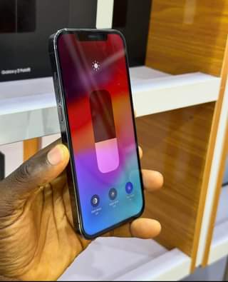 A picture of iPhone 12 promax