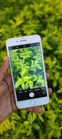 A picture of iPhone 7 plus Gb 128