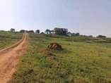 A picture of COMMERCIAL AND RESIDENTIAL PLOTS AVAILABLE FOR SALE