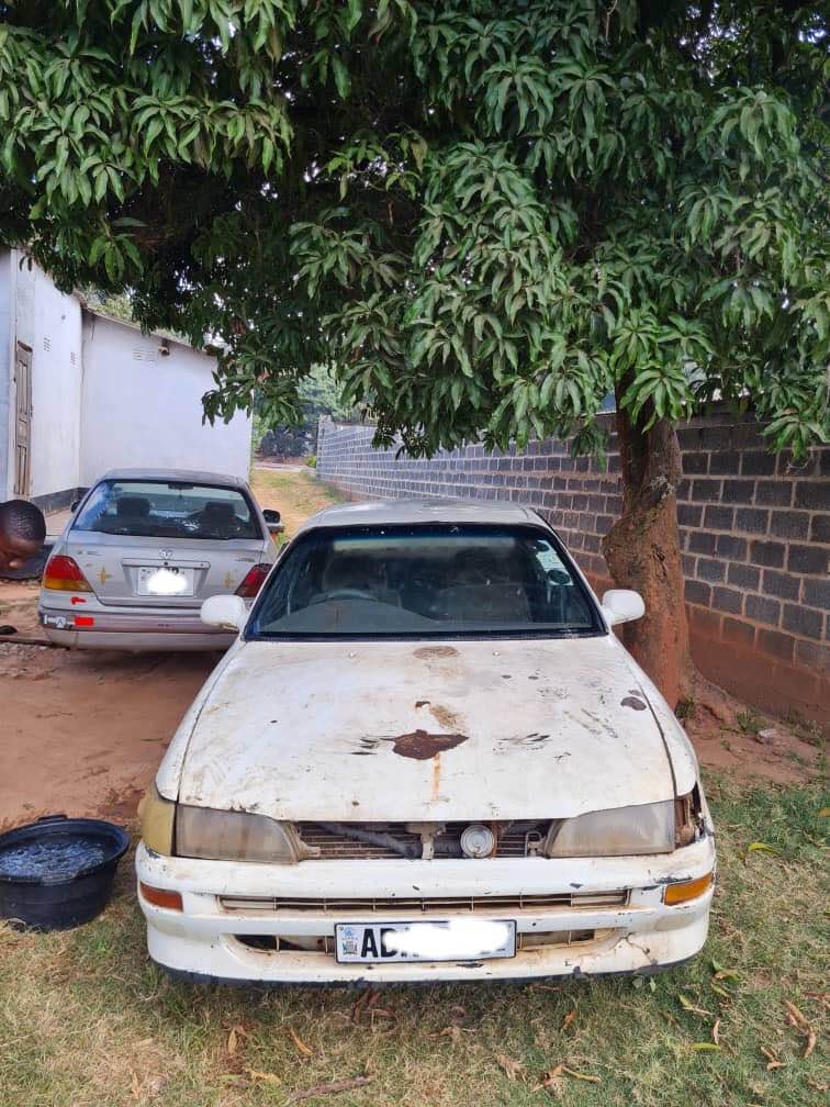 zed cars_under_20pin