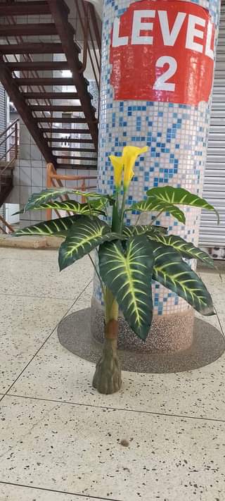 A picture of Artificial plants and flowers