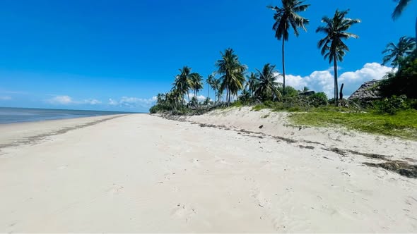 A picture of Beach plot