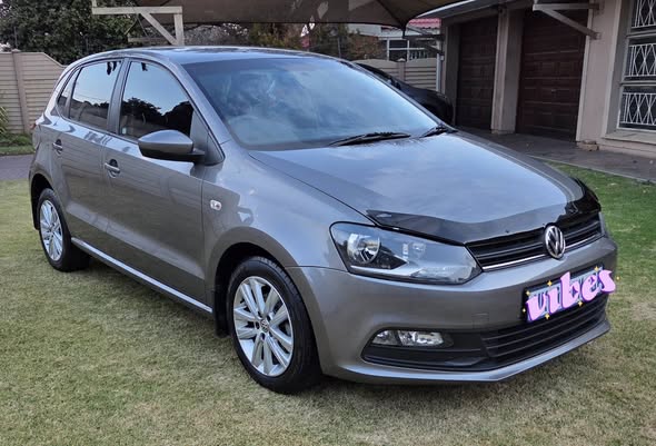polo vivo